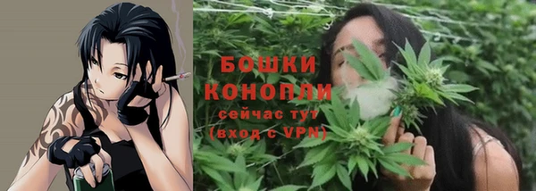 ECSTASY Володарск