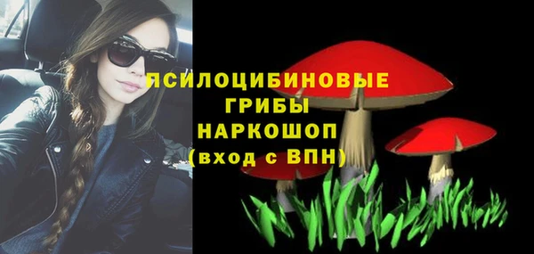 бошки Волоколамск