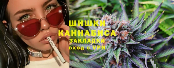 шишки Вязники