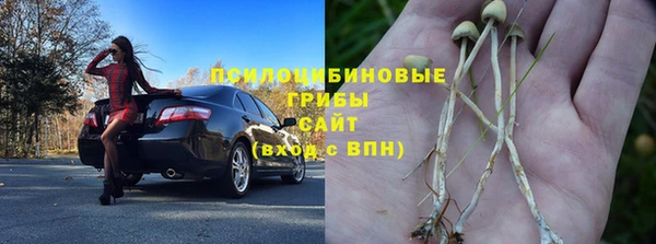 бошки Волоколамск